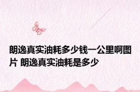 朗逸真实油耗多少钱一公里啊图片 朗逸真实油耗是多少