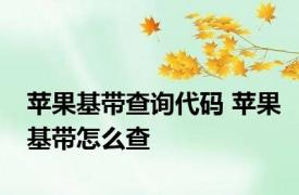 苹果基带查询代码 苹果基带怎么查