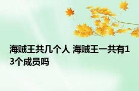 海贼王共几个人 海贼王一共有13个成员吗