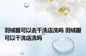 羽绒服可以去干洗店洗吗 羽绒服可以干洗店洗吗