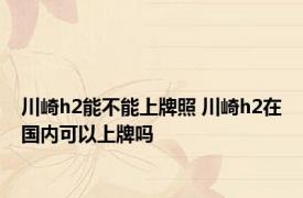 川崎h2能不能上牌照 川崎h2在国内可以上牌吗