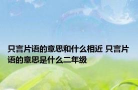 只言片语的意思和什么相近 只言片语的意思是什么二年级