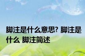 脚注是什么意思? 脚注是什么 脚注简述