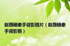 赵薇晒牵手背影照片（赵薇晒牵手背影照）