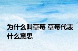 为什么叫草莓 草莓代表什么意思