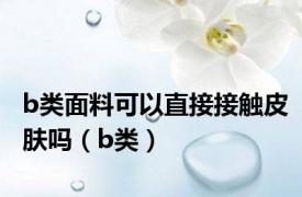 b类面料可以直接接触皮肤吗（b类）