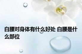白腰对身体有什么好处 白腰是什么部位