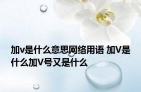 加v是什么意思网络用语 加V是什么加V号又是什么