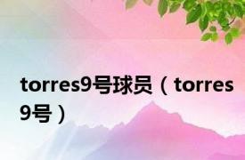 torres9号球员（torres9号）