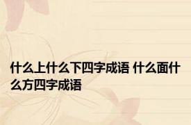 什么上什么下四字成语 什么面什么方四字成语