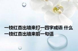 一枝红杏出墙来打一四字成语 什么一枝红杏出墙来前一句话