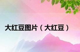 大红豆图片（大红豆）