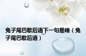 兔子尾巴歇后语下一句是啥（兔子尾巴歇后语）