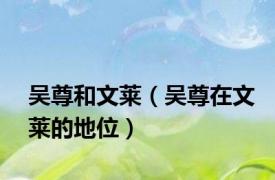 吴尊和文莱（吴尊在文莱的地位）