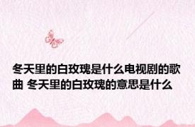 冬天里的白玫瑰是什么电视剧的歌曲 冬天里的白玫瑰的意思是什么