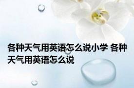 各种天气用英语怎么说小学 各种天气用英语怎么说