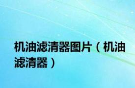 机油滤清器图片（机油滤清器）