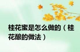 桂花蜜是怎么做的（桂花酿的做法）