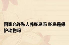 国家允许私人养鸵鸟吗 鸵鸟是保护动物吗