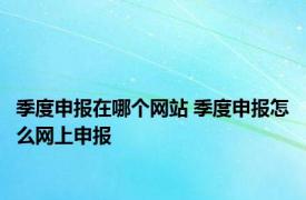 季度申报在哪个网站 季度申报怎么网上申报