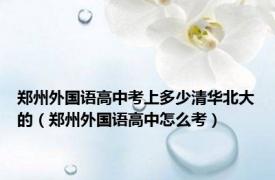 郑州外国语高中考上多少清华北大的（郑州外国语高中怎么考）