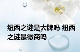 纽西之谜是大牌吗 纽西之谜是微商吗