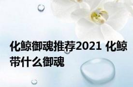 化鲸御魂推荐2021 化鲸带什么御魂