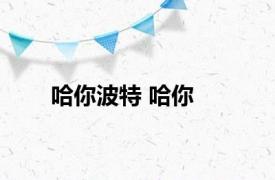 哈你波特 哈你 