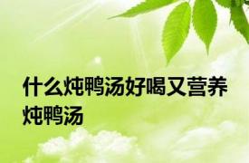 什么炖鸭汤好喝又营养 炖鸭汤 