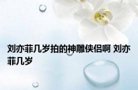 刘亦菲几岁拍的神雕侠侣啊 刘亦菲几岁 
