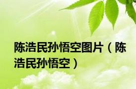 陈浩民孙悟空图片（陈浩民孙悟空）