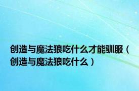 创造与魔法狼吃什么才能驯服（创造与魔法狼吃什么）