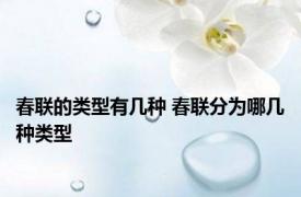 春联的类型有几种 春联分为哪几种类型