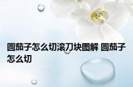 圆茄子怎么切滚刀块图解 圆茄子怎么切