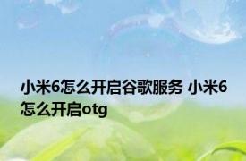 小米6怎么开启谷歌服务 小米6怎么开启otg
