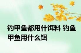 钓甲鱼都用什饵料 钓鱼甲鱼用什么饵