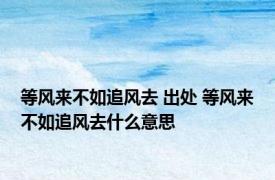 等风来不如追风去 出处 等风来不如追风去什么意思
