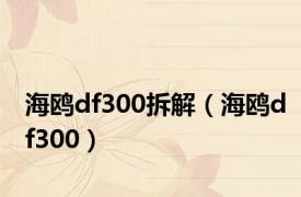 海鸥df300拆解（海鸥df300）