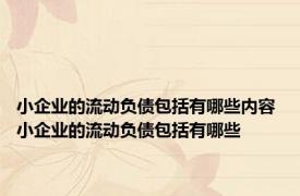 小企业的流动负债包括有哪些内容 小企业的流动负债包括有哪些