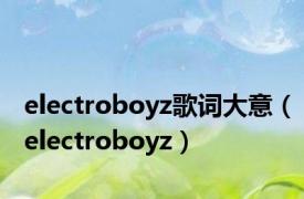 electroboyz歌词大意（electroboyz）