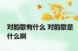 对韵歌有什么 对韵歌是什么啊