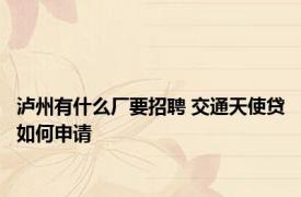 泸州有什么厂要招聘 交通天使贷如何申请