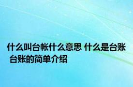 什么叫台帐什么意思 什么是台账 台账的简单介绍