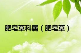 肥皂草科属（肥皂草）