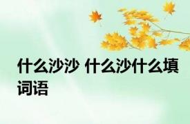 什么沙沙 什么沙什么填词语