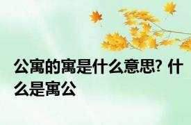 公寓的寓是什么意思? 什么是寓公