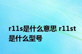 r11s是什么意思 r11st是什么型号