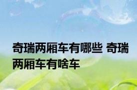 奇瑞两厢车有哪些 奇瑞两厢车有啥车