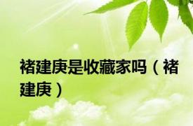 褚建庚是收藏家吗（褚建庚）