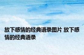 放下感情的经典语录图片 放下感情的经典语录
